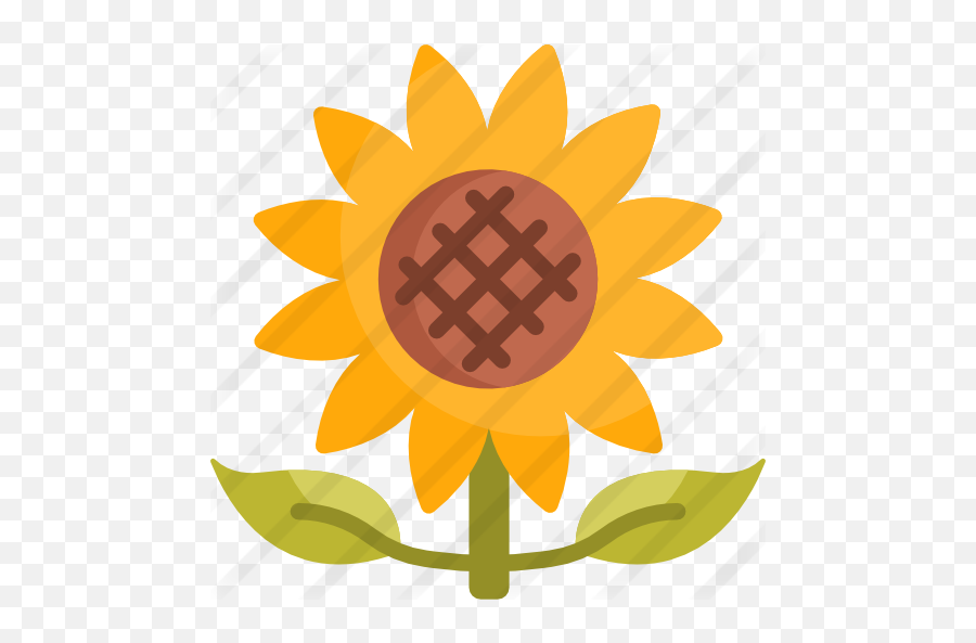 Sunflower - Free Nature Icons Ilustrasi Bunga Png,Sunflower Transparent Background