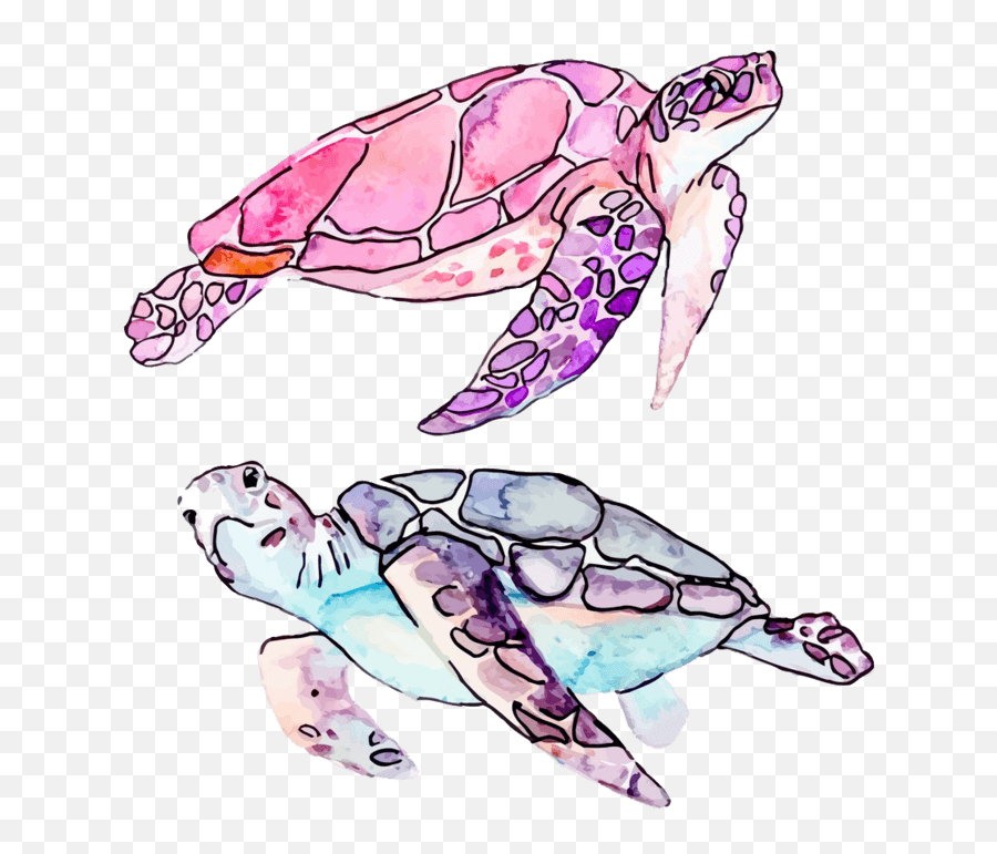 Turtle Clip Art Vector Graphics Royalty - 1731887 Png Sea Turtle Drawing,Turtle Png