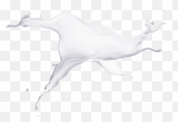 Milk Splash Png - Die Ländle Milch Illustration 581326 Reindeer