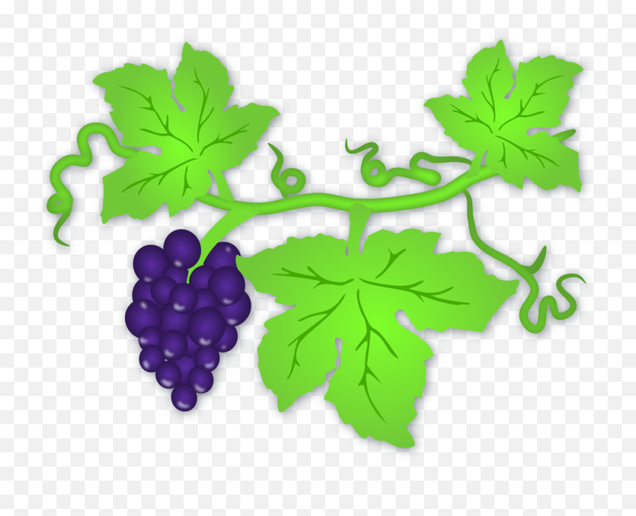 Grape Popsicle Svg Clip Arts Download - Download Clip Art Clipart Grapes Leaf Png,Grape Png