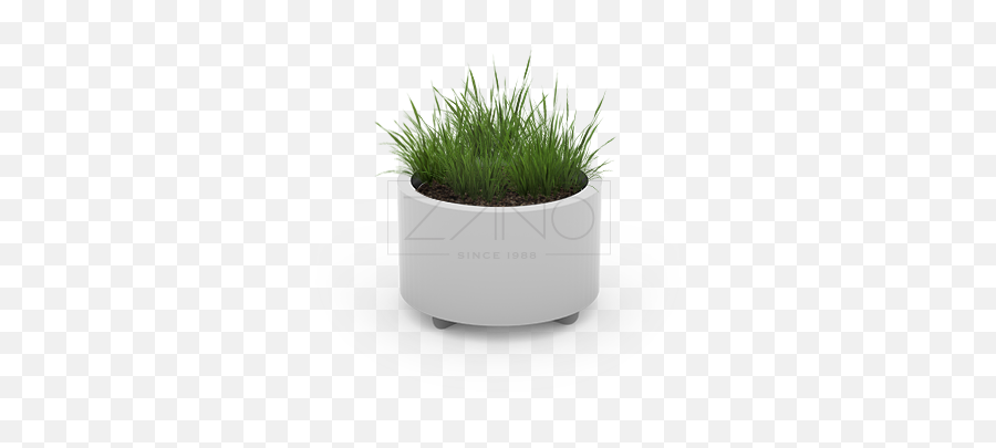 Planters - Sweet Grass Png,Planters Png
