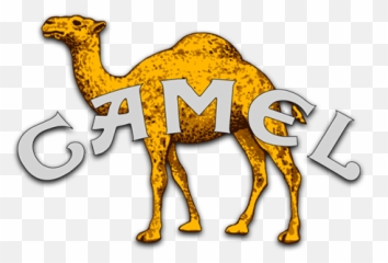 Camel Music Fanart Fanarttv - Sharing png