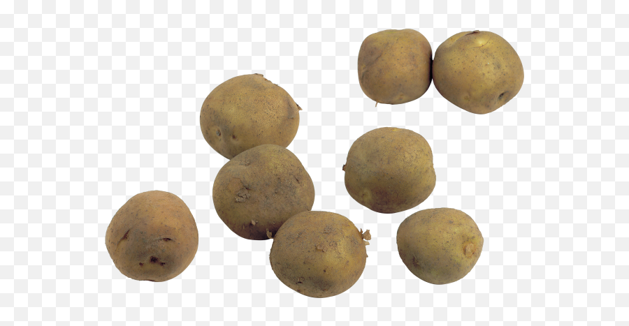 Potato Png Free Download 2 - Potato,Potato Png Transparent