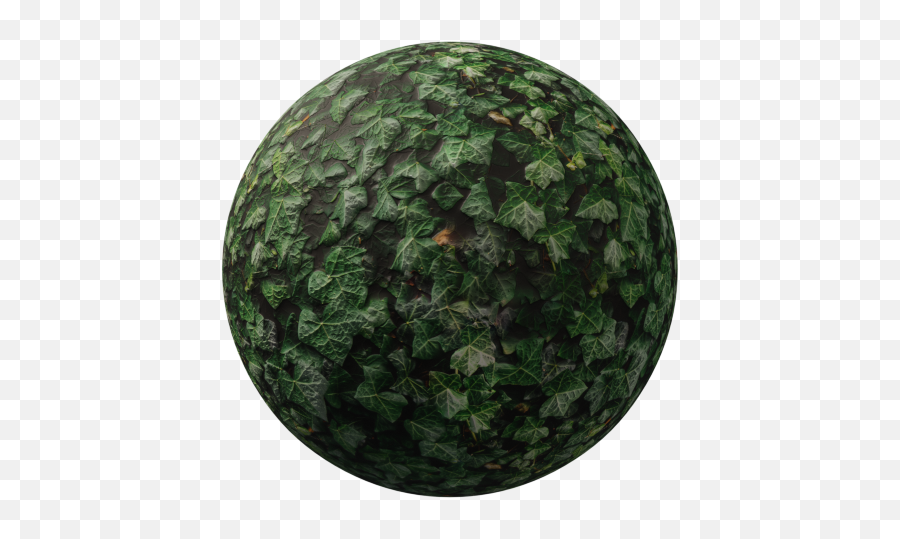 Blenderkit Organic Material Ivy Dark By Frederic Hoffmann - Sphere Png,Ivy Transparent