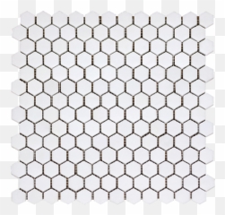 Hexagon U2013 White Source Trade - Honeycomb Background Vector Free Png,White Hexagon Png