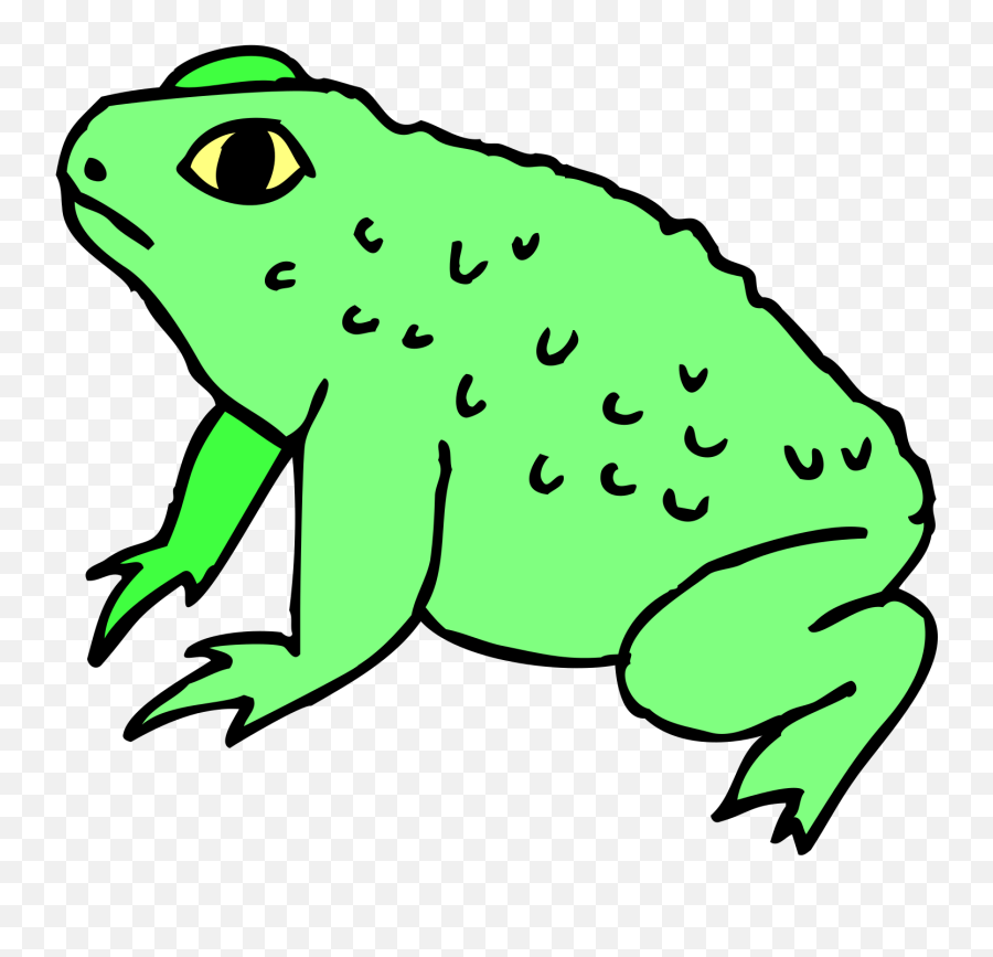 Toad Clipart - Png Download Full Size Clipart 5501344 Toad Clipart,Toad Transparent