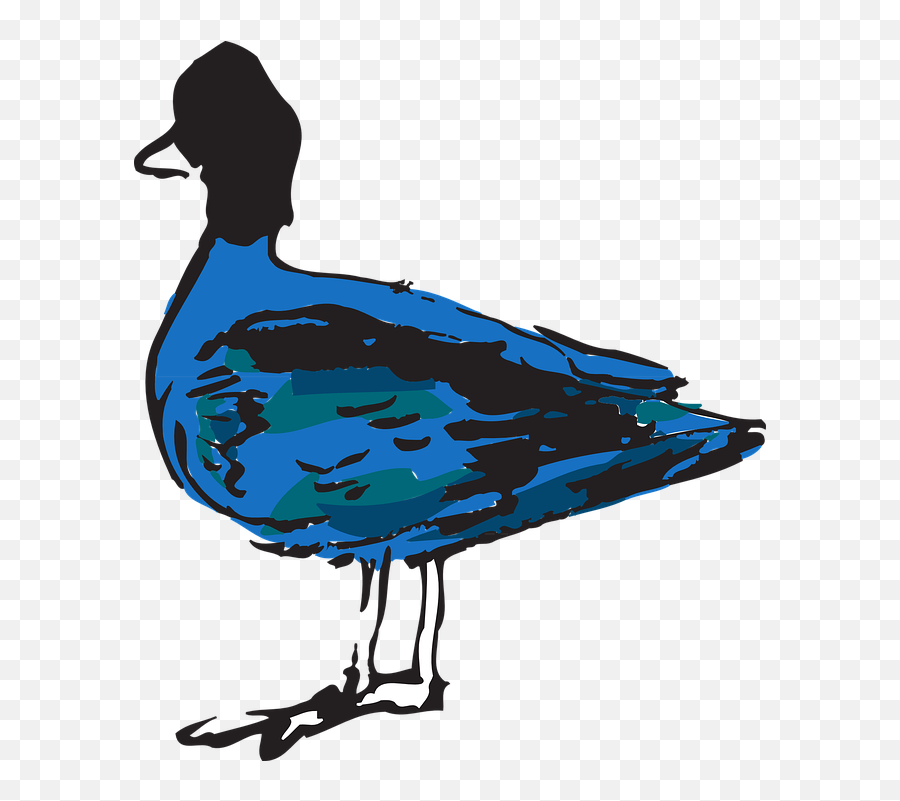 Blue Bird Duck - Free Vector Graphic On Pixabay Bebek Biru Png,Blue Bird Icon