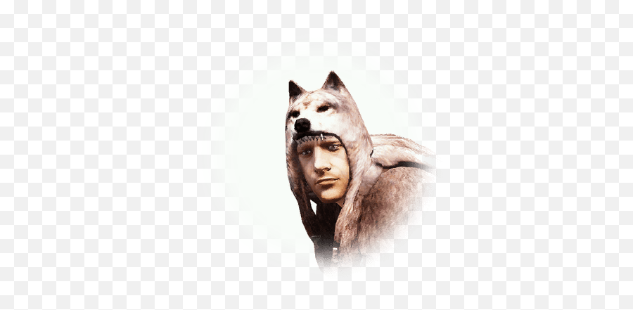 Bandit Defense Captain - Bdo Codex Bdo Bandit Defense Captain Png,Bandit Icon