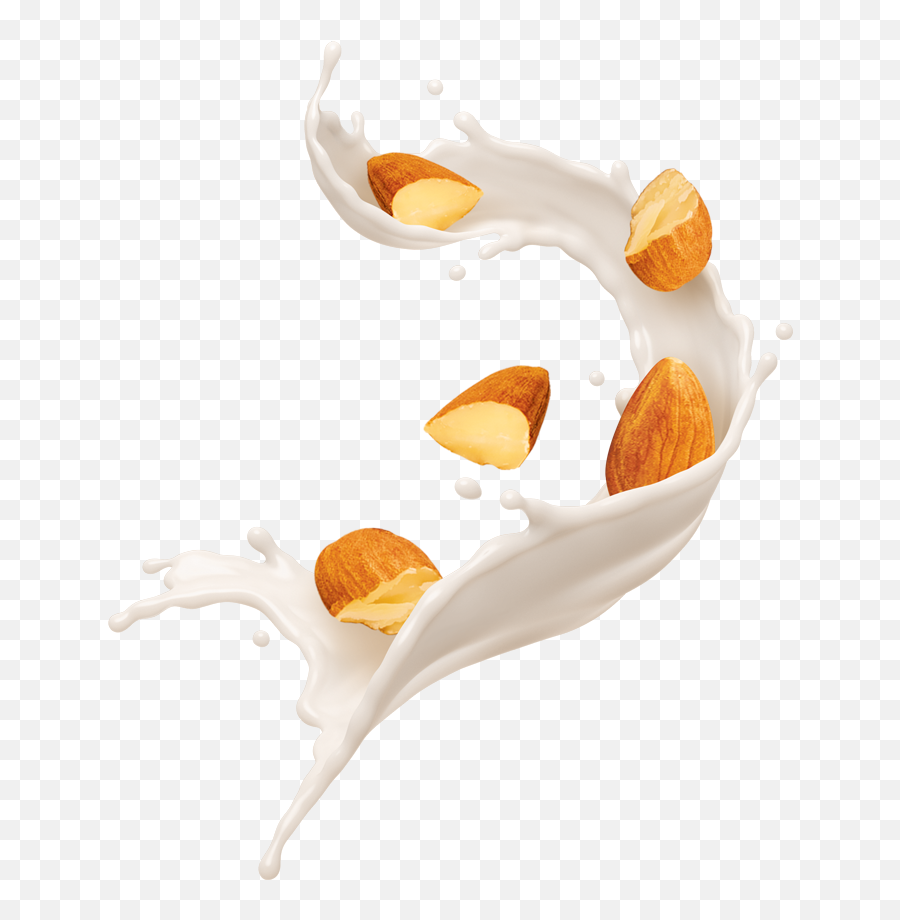 Almond Milk Splash Png - Almond Milk Splash Png,Almonds Png
