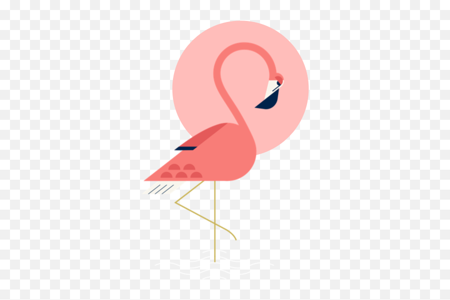 General 4 U2014 Lovely Ember Photography - Greater Flamingo Png,Ember Icon