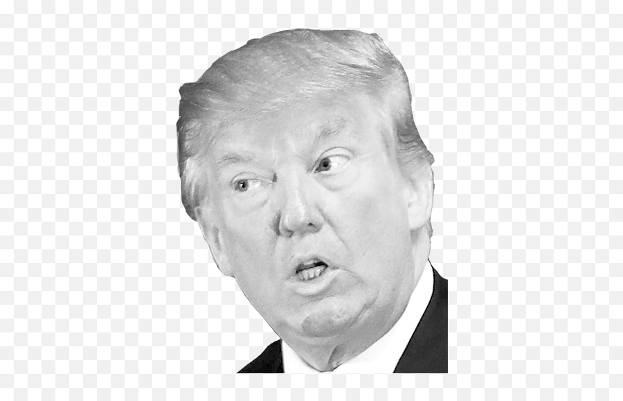 Donald Trump Png Clipart 80518 - Web Icons Png,Trump Icon