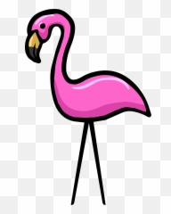 Transparent Background Flamingo Png