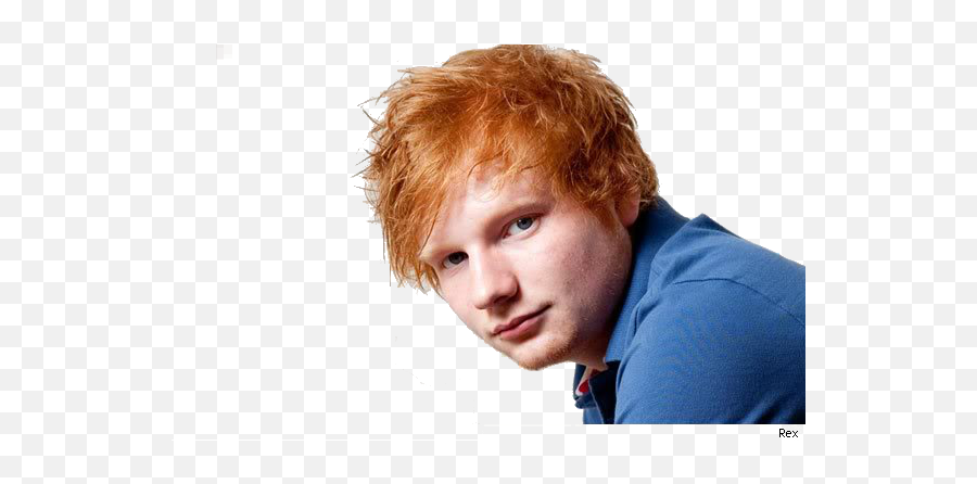Ed Sheeran Png Image With No Background - Funny Ed Sheeran Meme,Ed Sheeran Png
