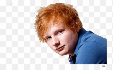 Ed Sheeran Png Image With No Background - Funny Ed Sheeran Meme,Ed Sheeran Png