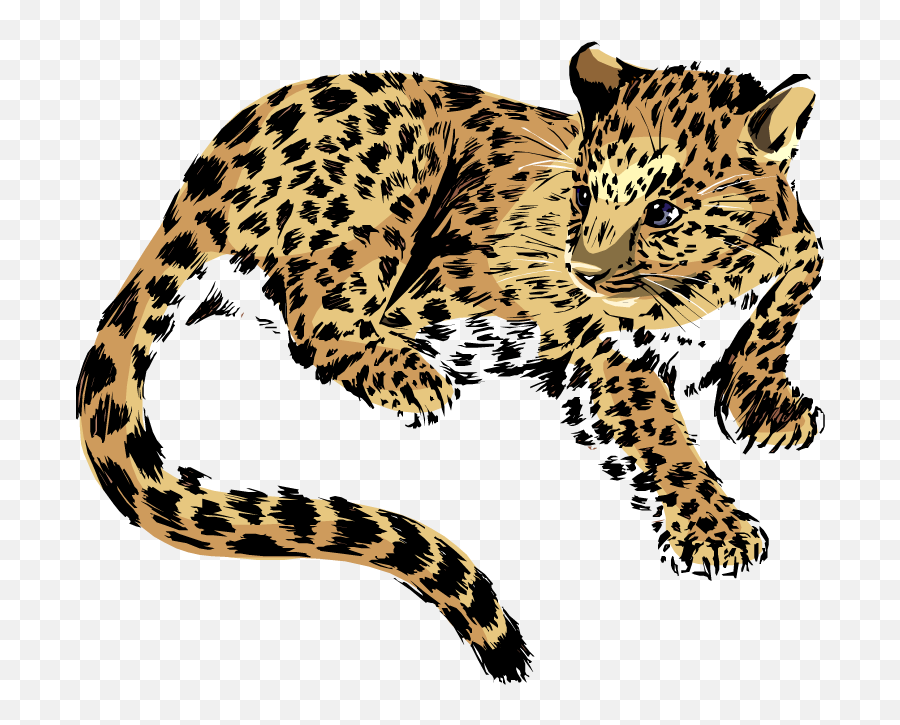 Baby Jaguar Png Transparent Image - Jaguar Clipart Png,Jaguar Png