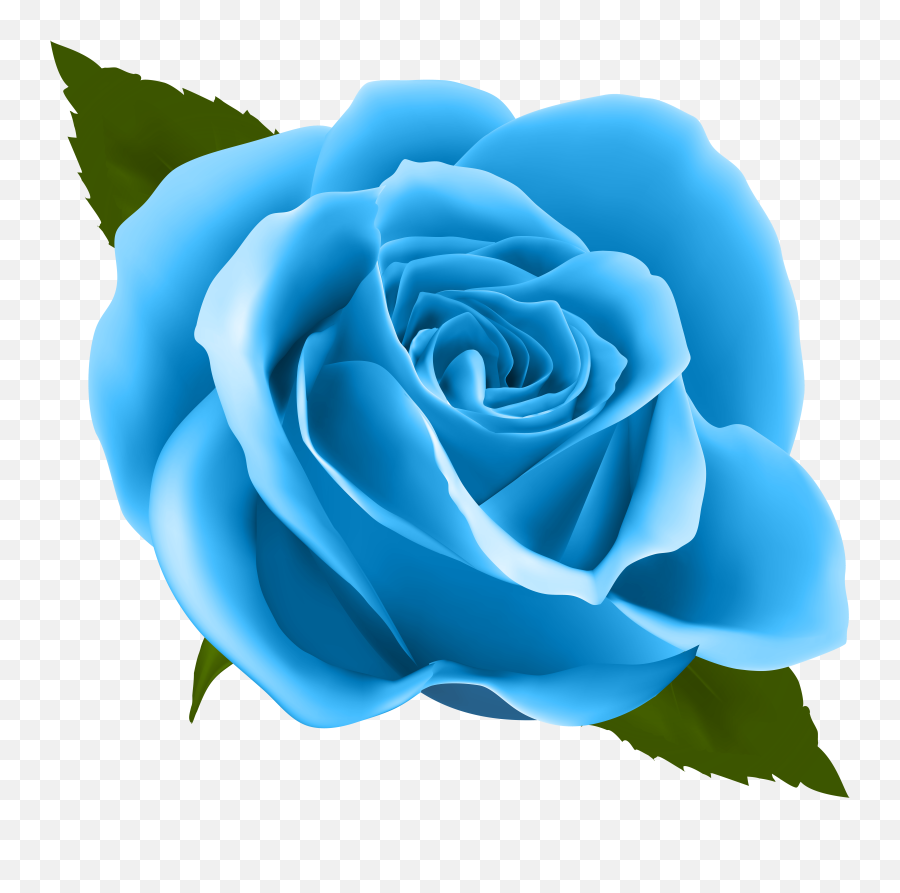 Download Free Png Blue Rose Clip Art Image Gallery Clipart