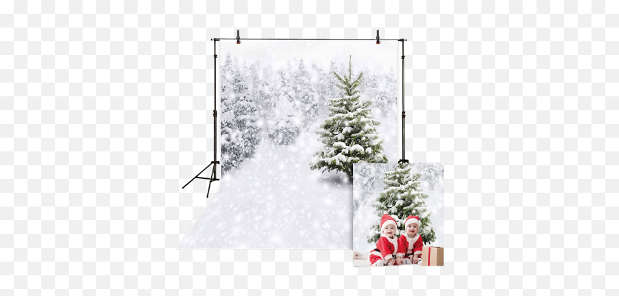 Winter Backdrop White Trees Snow Background Christmas Photograph Photo Booth New Ebay - Winter Background Image Christmas Png,Snow Background Png