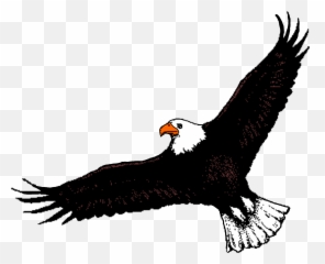 Bald Eagle Clipart Soaring - Flying png