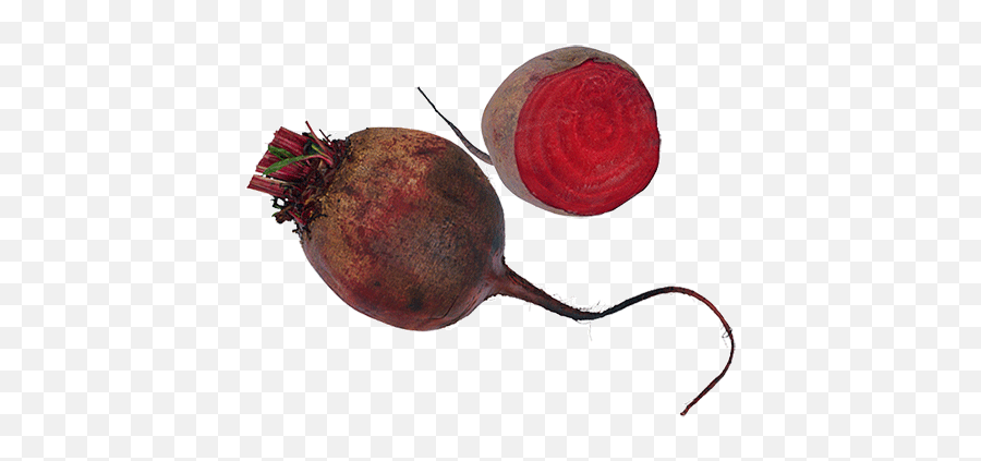 Beet Icon Clipart - Portable Network Graphics Png,Beet Png