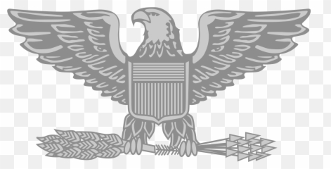 Filecolonel Insigniapng - Wikipedia Air Force Colonel Insignia,Vulture Png