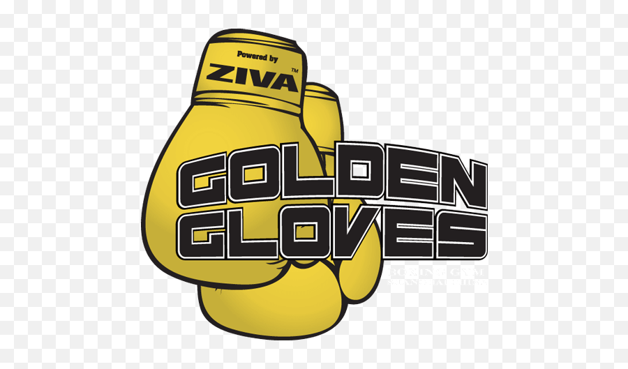 Download Golden Gloves Boxing Gym Hero Logo - Golden Gloves Boxing Golden Gloves Logo Png,Boxing Logo