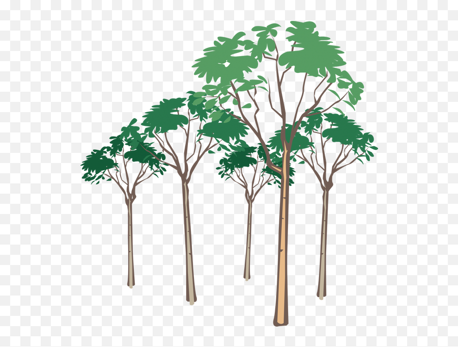 Tree Vector Png Transparent Images - Elephants Silhouette,Tree Vector Png
