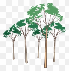 Tree Vector Png Transparent Images - Elephants Silhouette,Tree Vector Png