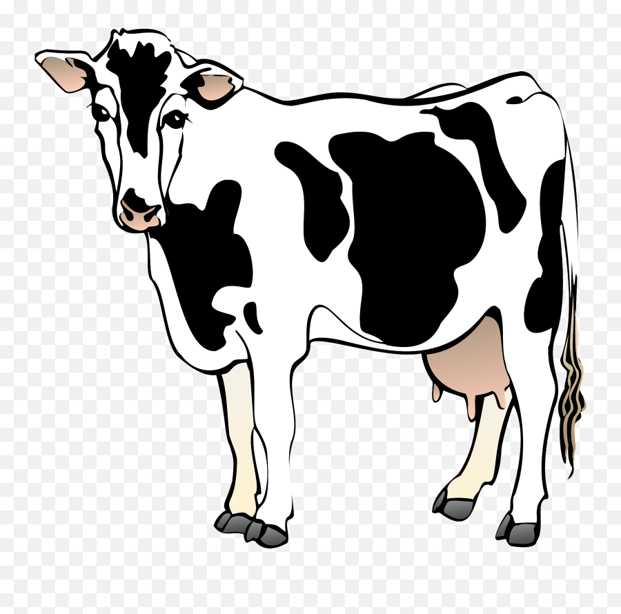 Cow Clipart - Cow Clipart Png,Cows Png