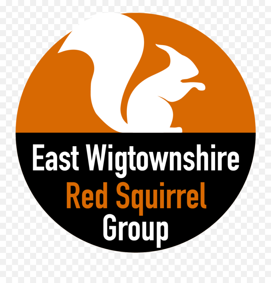 East Wigtownshire Red Squirrel Group - Volunteers Needed Poster Png,Squirrel Logo