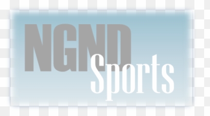 Nintendo Wii - Horizontal png