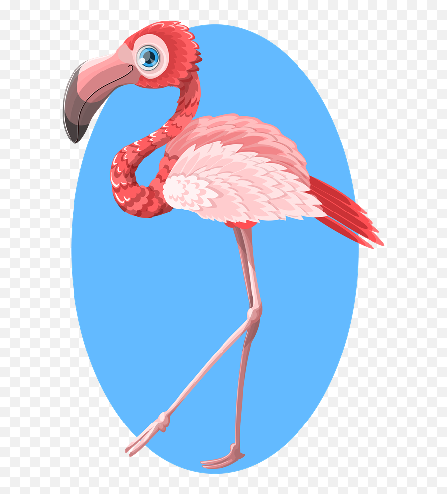 Flamingo Free To Use Cliparts 4 - Imagen De Flamingos Kawaii Png,Flamingo Clipart Png