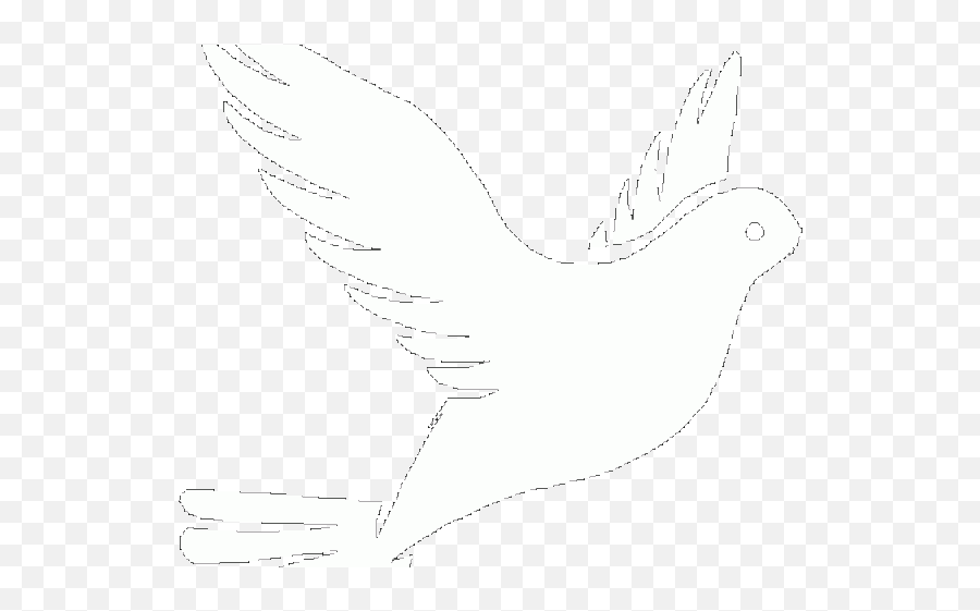 Download White Dove Clipart Faith - White Doves Drawing Black Background Png,White Dove Png