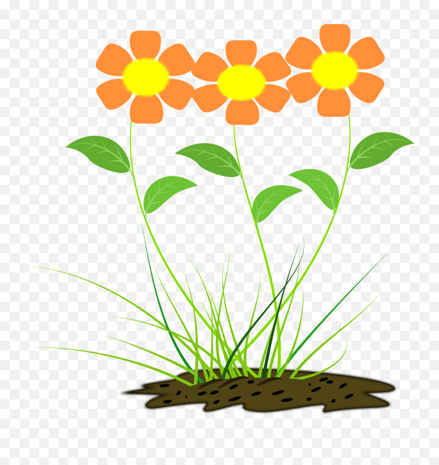 Orange Flowers Clipart - Desenho Flor Png,Orange Flower Png