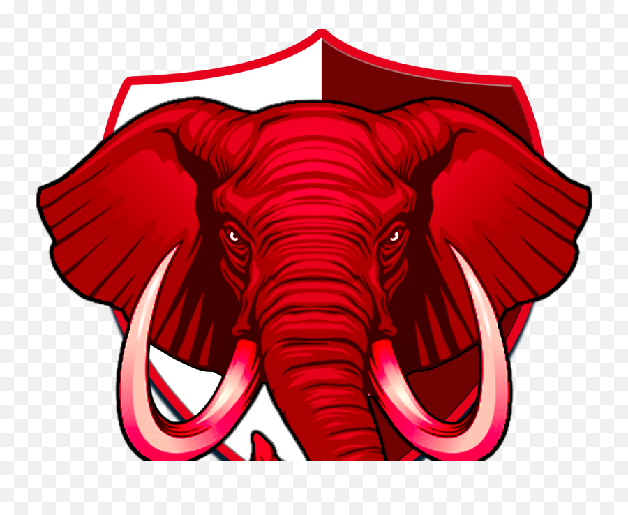 Tuskers Designs Themes Templates And Downloadable Graphic - Elephant Head Illustration Png,App With Elephant Icon