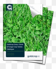 Ab U2013 Printing Promotional Products And Catering Supplies - Fines Herbes png