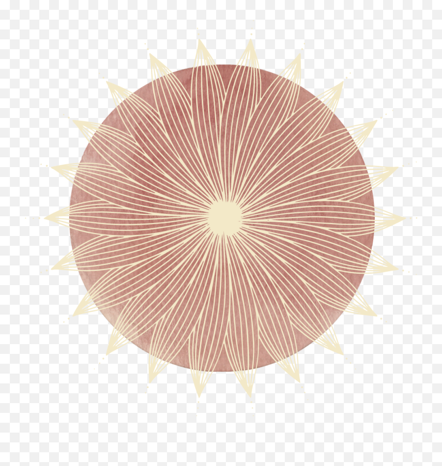 Contact U2014 Concetta Codding - Decorative Png,Desmos Icon