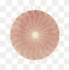 Contact U2014 Concetta Codding - Decorative png