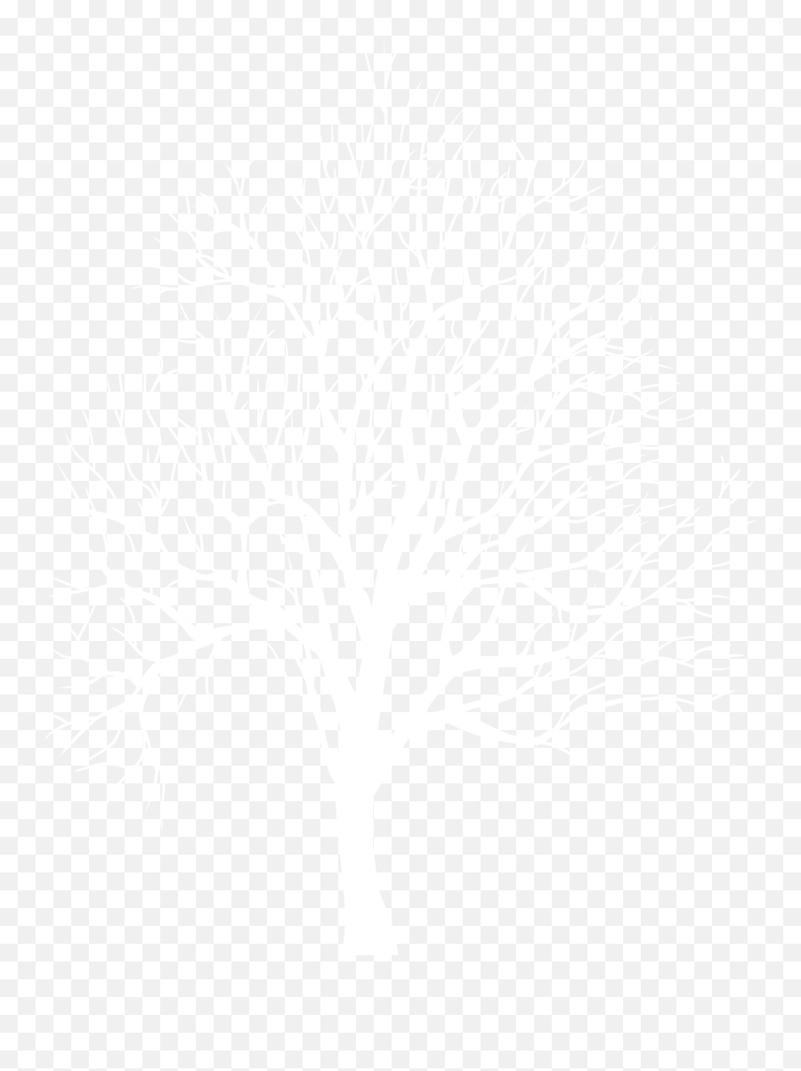 Download White Tree Silhouette Png - White Tree Silhouette Png,Tree Silhouette Png
