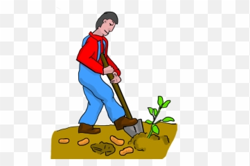 Download Sweet Potato Digging Dig Potatoes - Transparent Background Farmer Clipart Png,Dig Dug Png