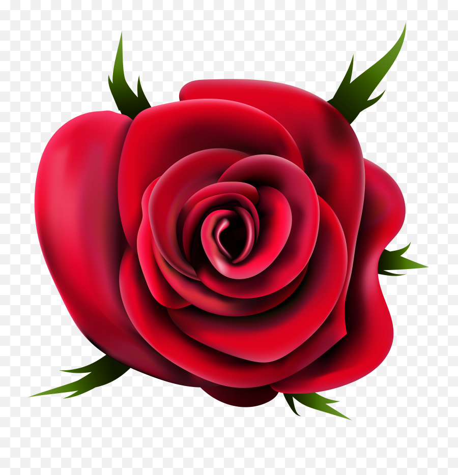 Rose Png Flower Images Free Download - Rose Flower Clip Art,Red Rose Png