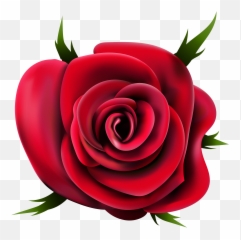 Rose Png Flower Images Free Download - Rose Flower Clip Art,Red Rose Png