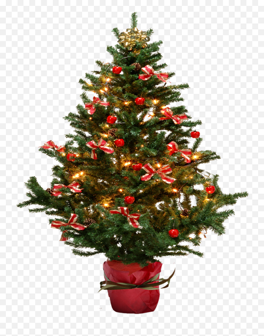 Download Hd Christmas Tree Free Png Transparent Background - Small Christmas Tree Png,Christmas Tree Transparent Background