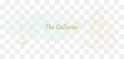 Maryn Graves Productions - Southern Wedding Photography For Watercolor Paint Png,Graves Png