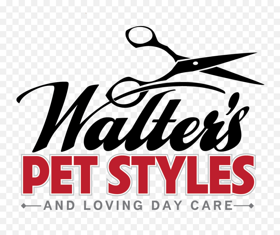 Jiminyu0027s Cricket Protein Dog Food U2014 Walteru0027s Pet Styles - Graphic Design Png,Jiminy Cricket Png