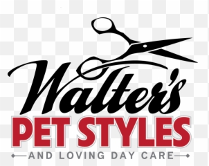 Jiminyu0027s Cricket Protein Dog Food U2014 Walteru0027s Pet Styles - Graphic Design Png,Jiminy Cricket Png