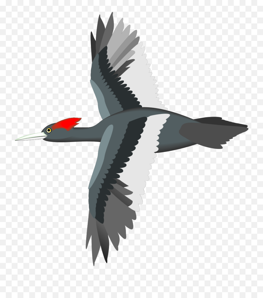 Flying Bird Clip Art - Gif Bird Flying Transparent Png,Birds Flying Png