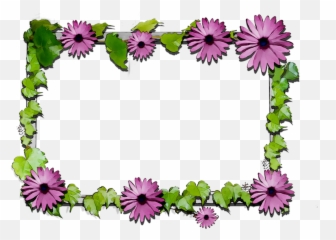 Floral Chrysanthemum Flowers Cut Design - Portable Network Graphics Png,Chrysanthemum Png