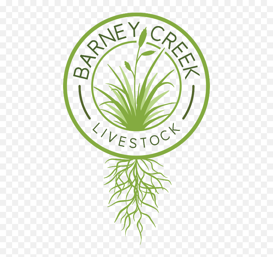Barney Creek Livestock Aero - Clip Art Png,Barney And Friends Logo