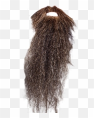 Hairstyle Png And Vectors For Free Download - Dlpngcom Very Long Beard Png,Hairstyle Png