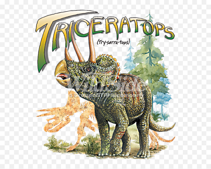 Download Triceratops - Dinosaur Full Size Png Image Pngkit Dinosaurios Para Estampar Triceratops,Triceratops Png
